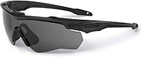 ESS CrossBlade ONE Eyeshield Smoke Gray, Black
