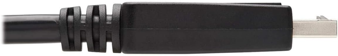 TRIPP LITE DisplayPort to DVI-D Adapter Cable (Latching, M/M)