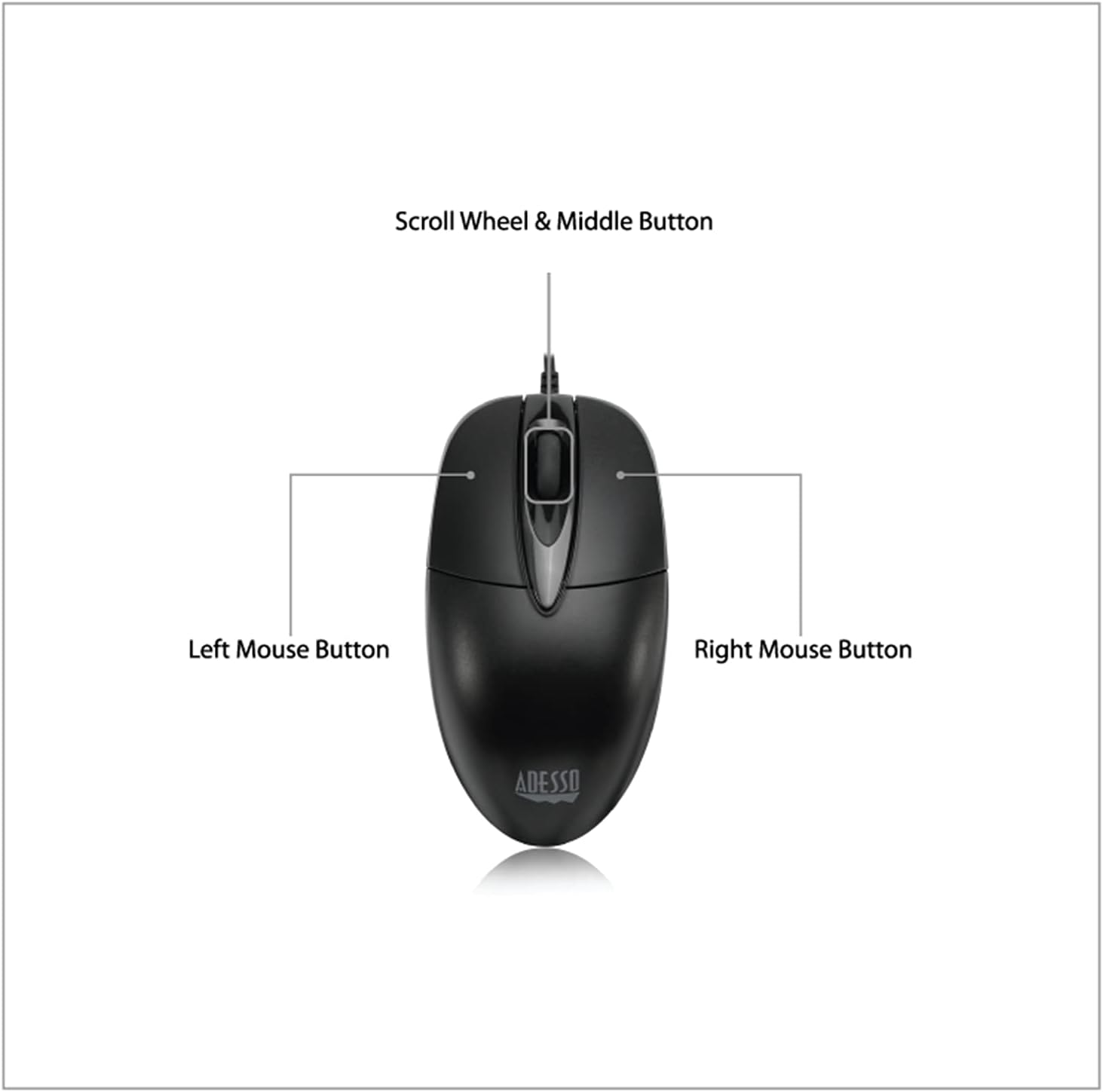 iMouse M6C-TAA USB Type-C Desktop Full Size Mouse TAA Certified
