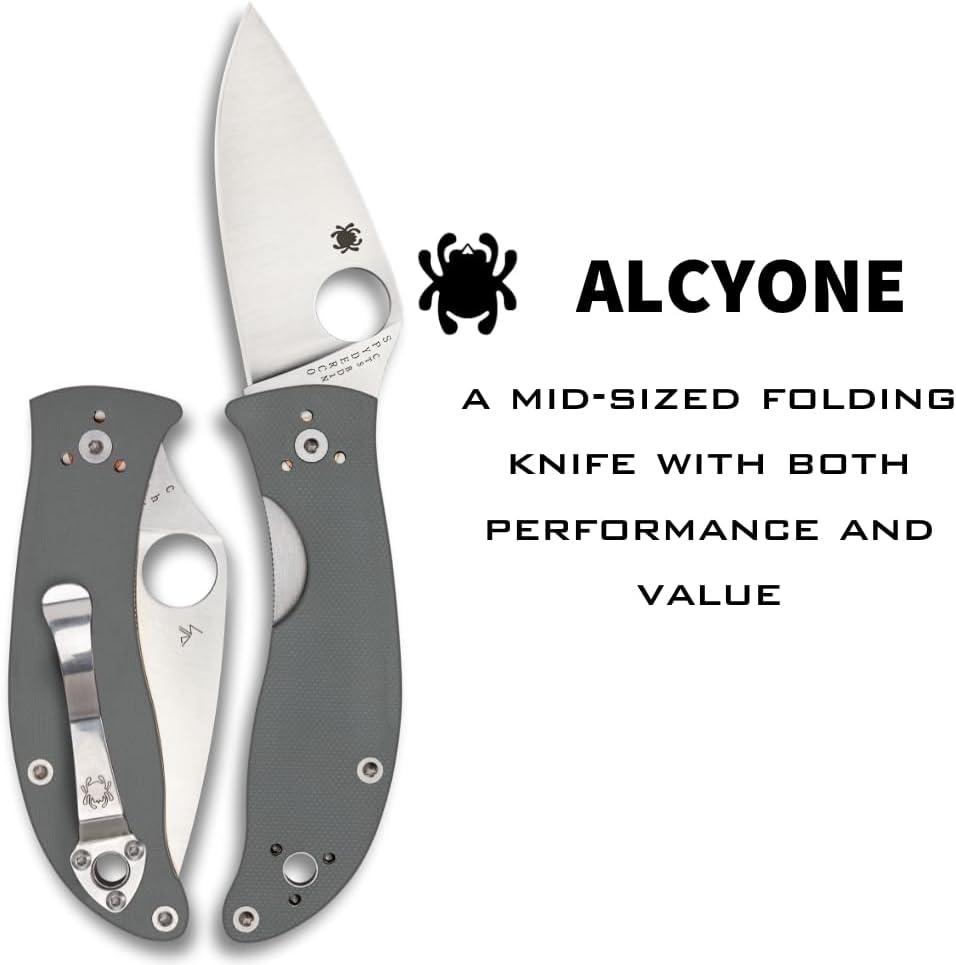 SPYDERCO Value Folding Utility Knife with CTS BD1 Stainless Steel Blade and Gray G-10 Handle, PlainEdge