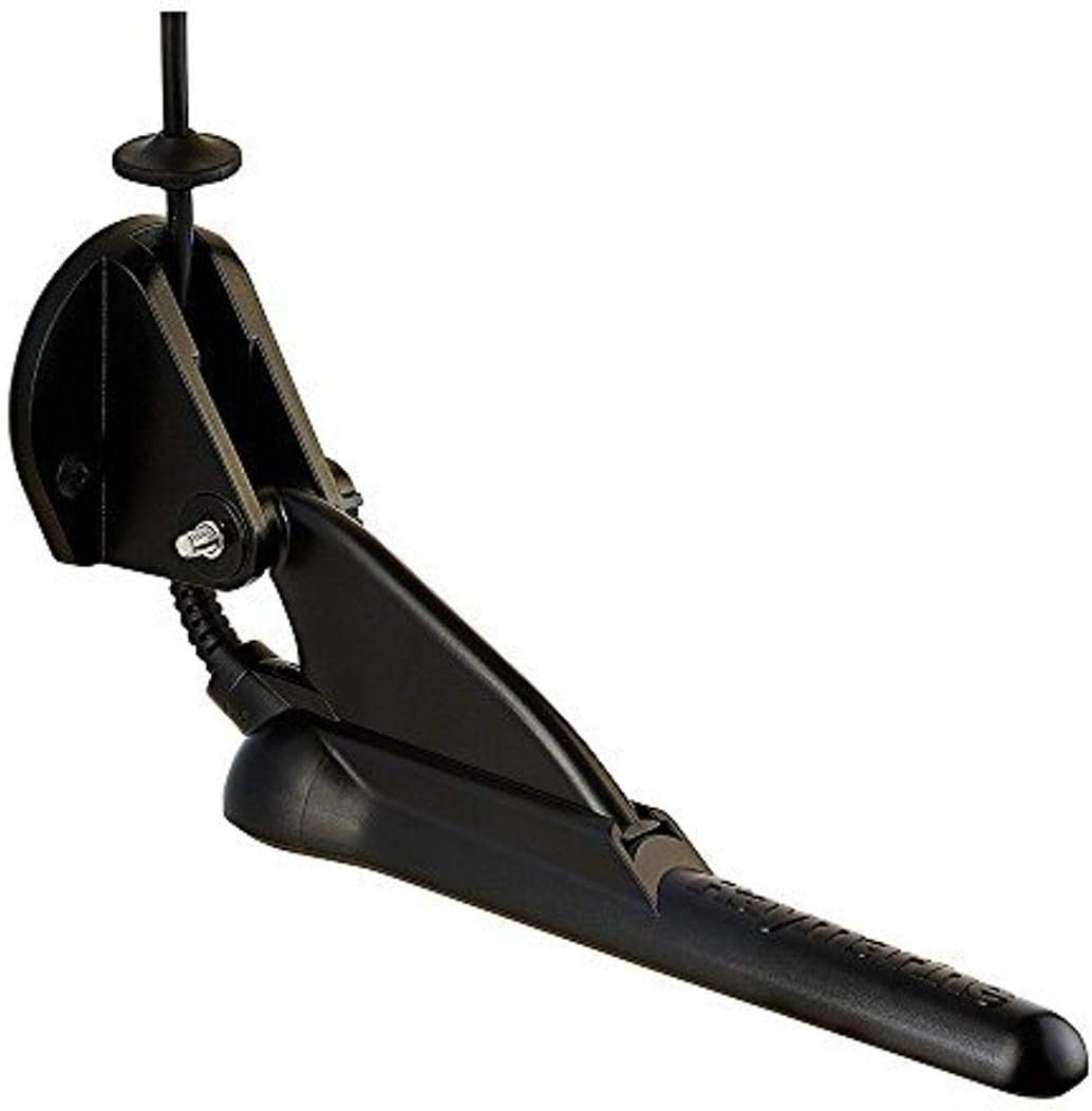 Raymarine CPT-100 DVS Transom Mount CHIRP Transducer