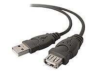Belkin Pro Series USB 2.0 Extension Cable - Male - Female - 16ft