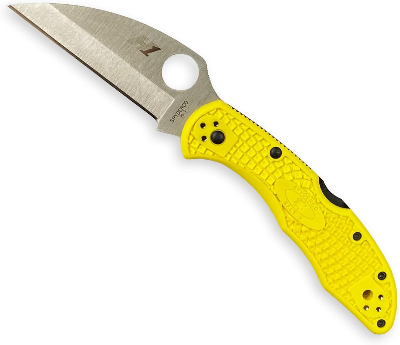 SPYDERCO Salt 2 Lightweight Folding Knife with FRN Handle
