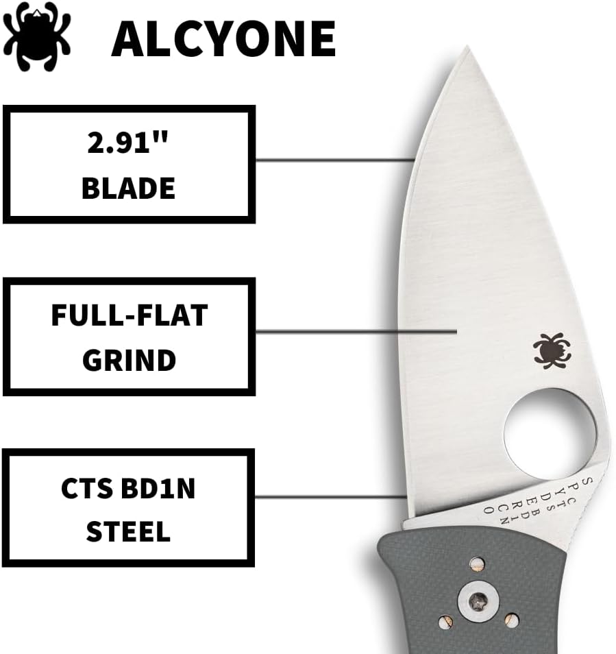 SPYDERCO Value Folding Utility Knife with CTS BD1 Stainless Steel Blade and Gray G-10 Handle, PlainEdge