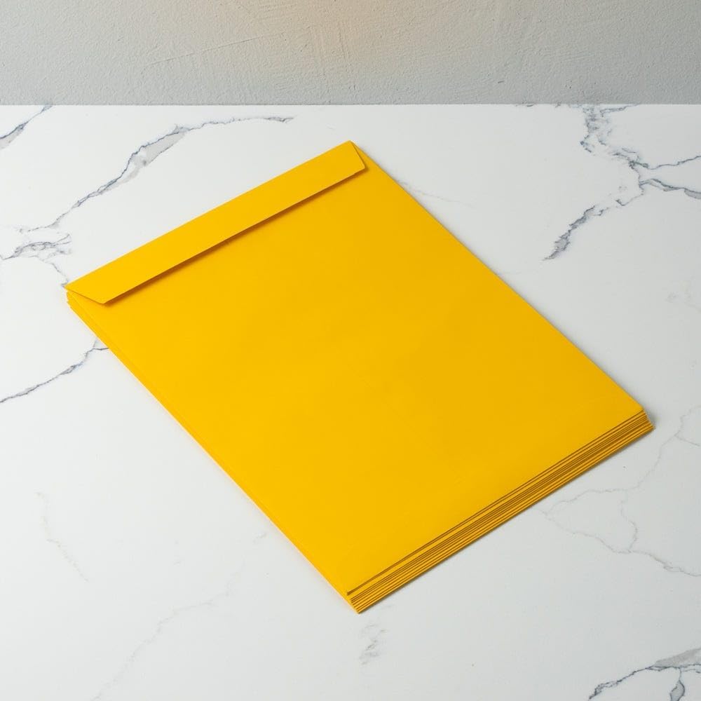 LUX Open-End 10 x 13 Envelopes, Peel & Press Closure