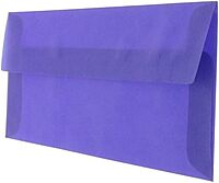 JAM PAPER #10 Business Translucent Vellum Envelopes - 4 1/8 x 9 1/2 - Primary Blue - 25/Pack Business #10 25 Per Pack