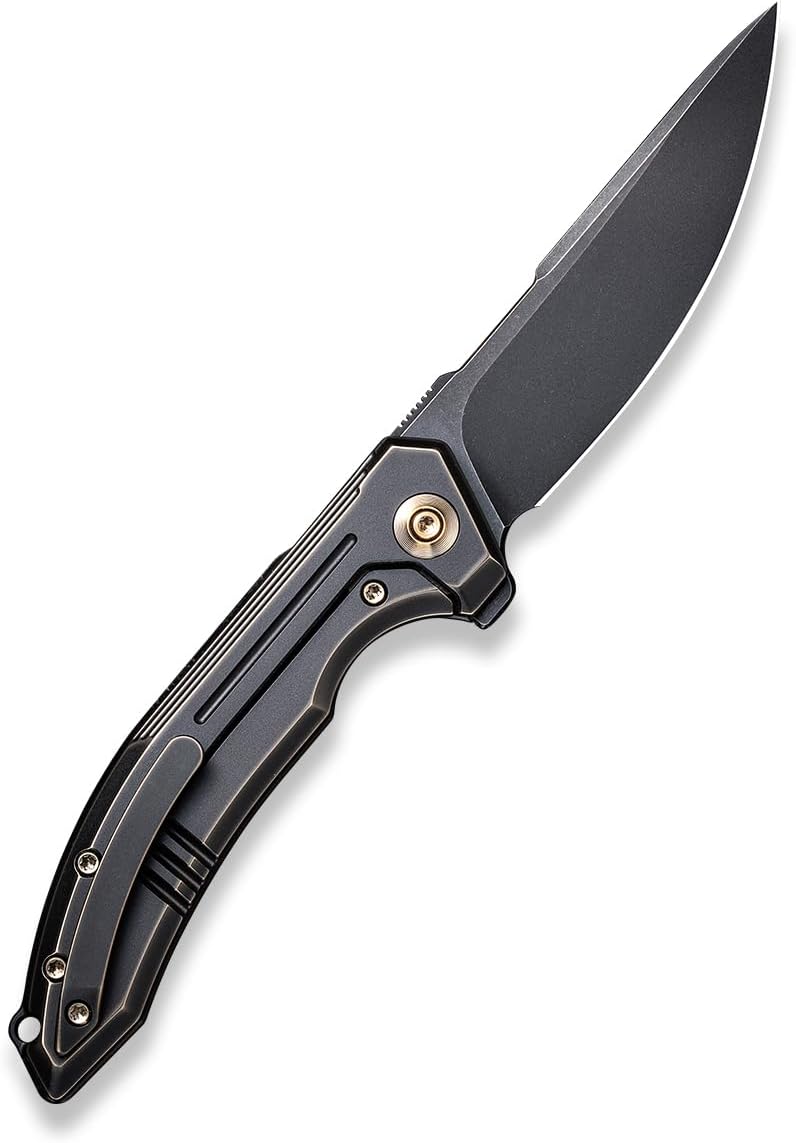 We Knife WE210162: Quixotic Framelock Black
