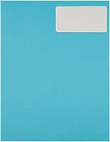 JAM PAPER Mailing Address Labels - Self-Adhesive Rectangular