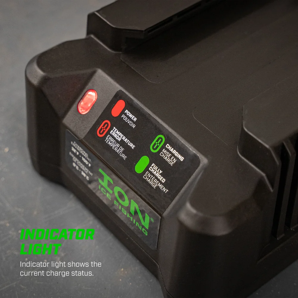 Ion 40V 4A Fast Charger Ion 40V 4A Fast Charger