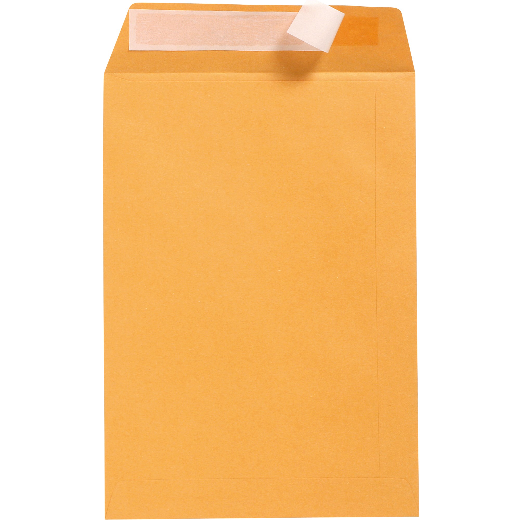 Cumberland Plain Envelope Pocket C3 Strip Seal Gold Box  Of 250
