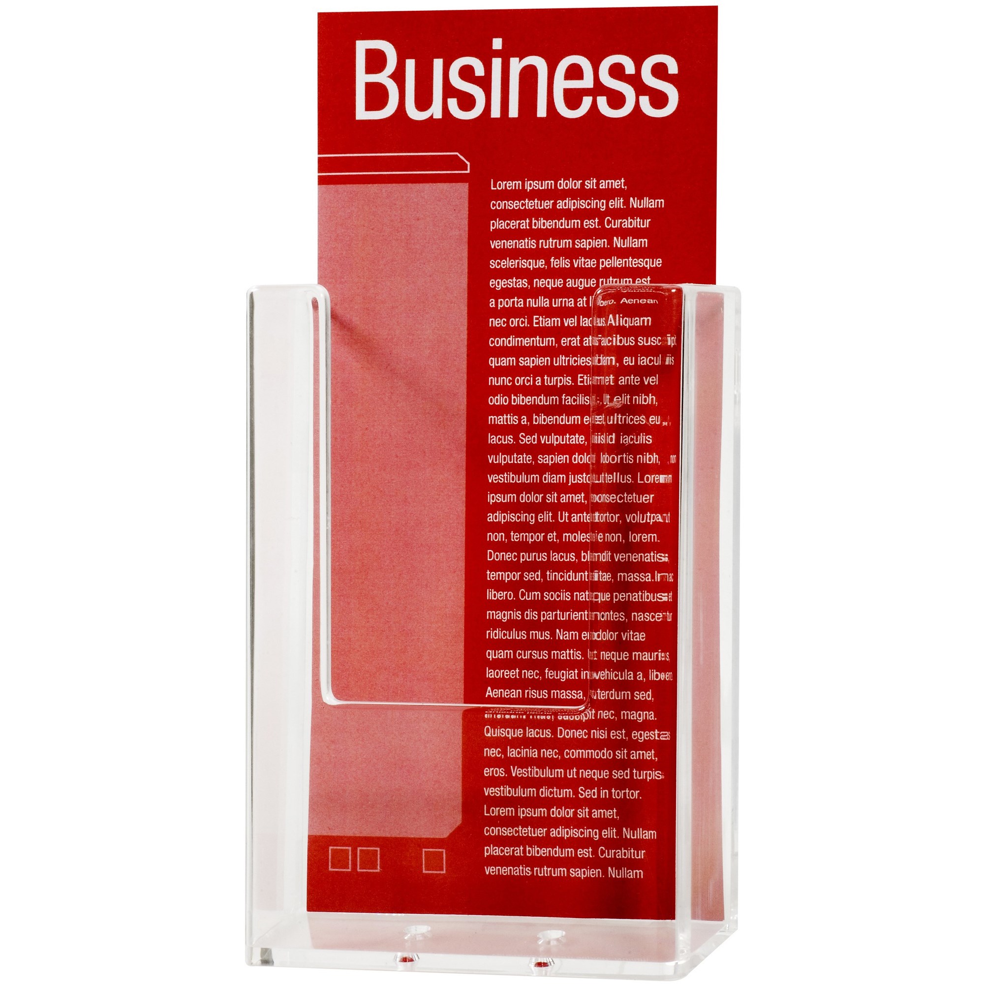 Esselte Brochure Holders DL Wall Mount Single