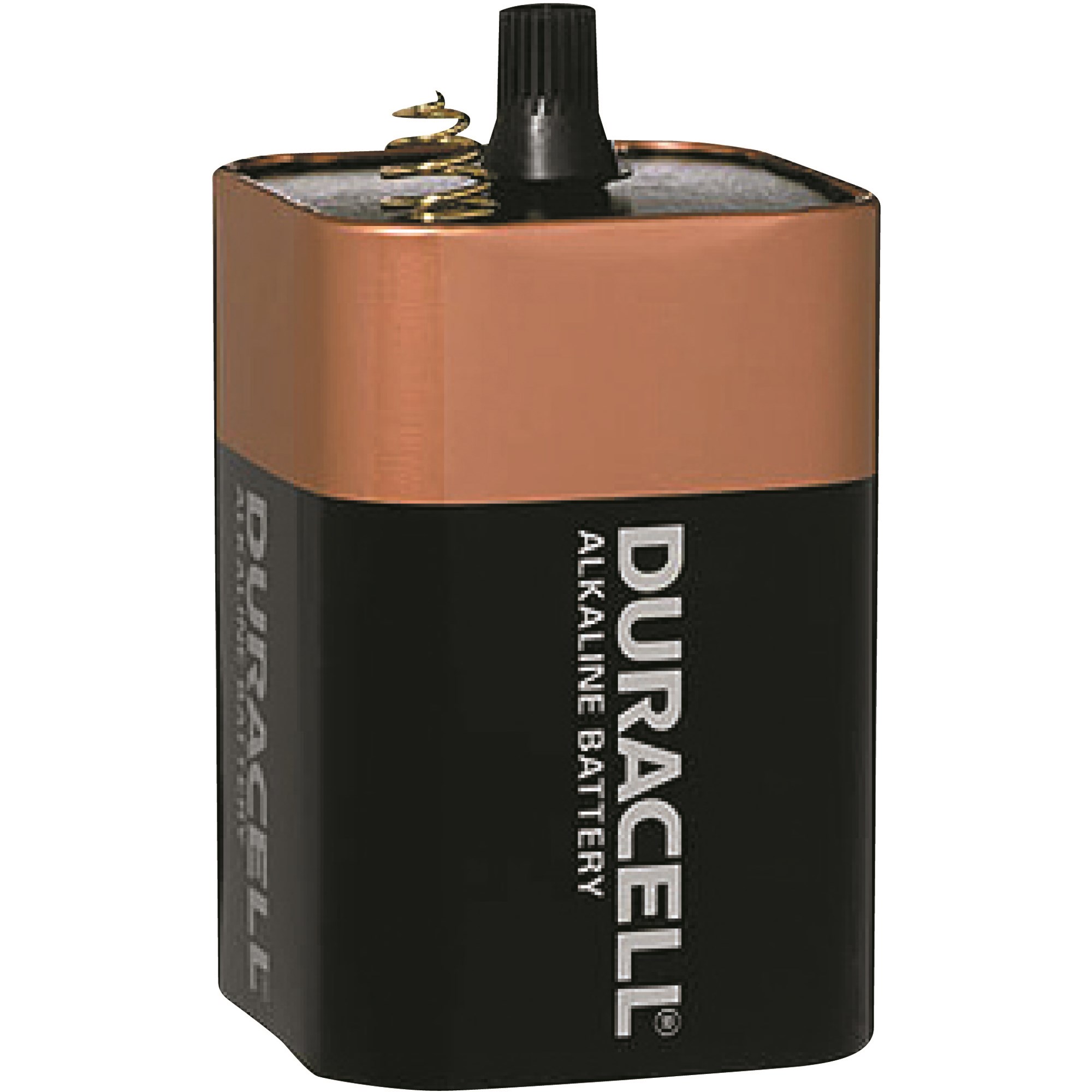 Duracell Coppertop Lantern Spring Terminal Alkaline Battery MN908