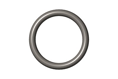 O Ring Seal