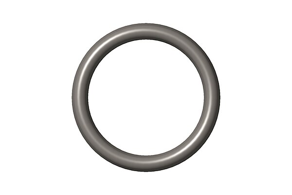 O Ring Seal