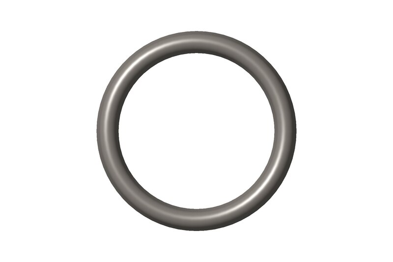 O Ring Seal