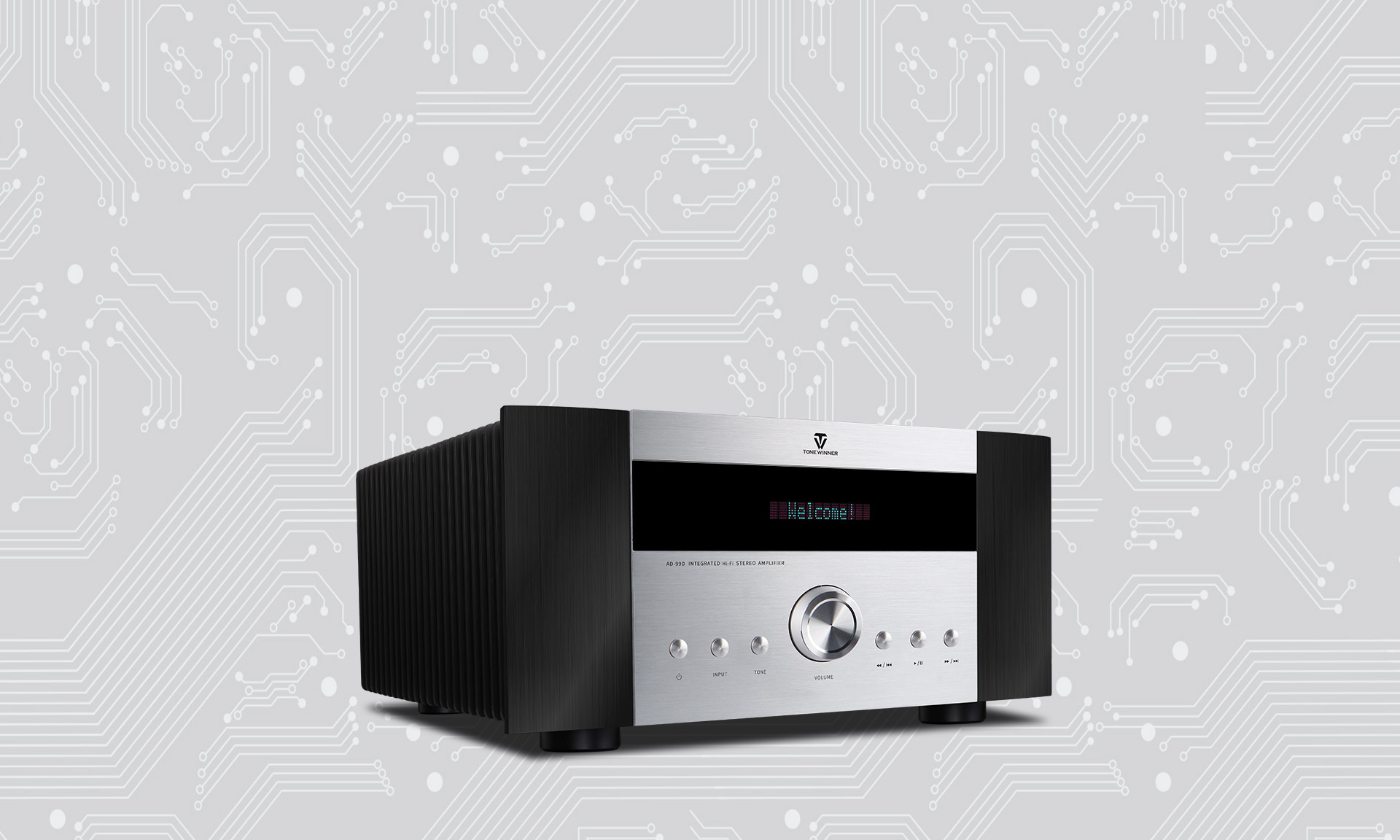 ToneWinner wholesale 2 ch stereo Hi-Fi combined amplifier