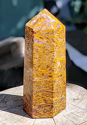 Miriam Jasper / Fossil Sea bed / Scrollstone Generator avge 6-7cm Miriam Jasper / Fossil Sea bed / Scrollstone Generator avge 6-7cm