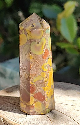 Small fruit Jasper Generator $9ea 60mm Small fruit Jasper Generator $9ea 60mm