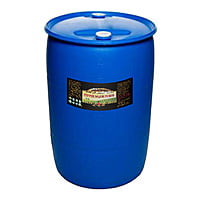 Red Serrano Fermented Chili Pepper Mash / Puree Bulk Size 55 Gal Drum