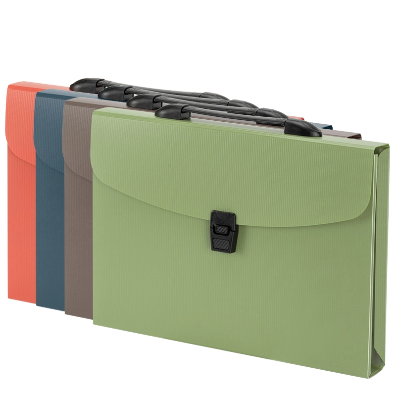 CARPETA EXPANDIBLE - 5557