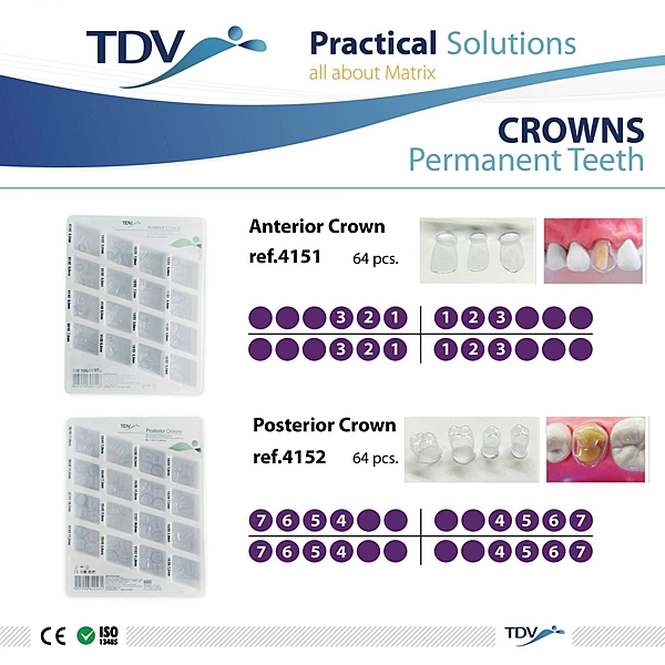 CROWN FORMS POSTERIOR SET-TDV