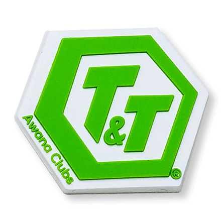 T&T Flexible Pin T&T Flexible Pin