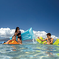 Economat | 59703 | Intex