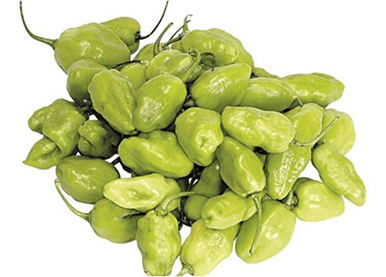 Green pepper