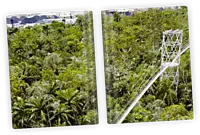 Lagos Green Luxury Journal | Beautiful Chaos Collection