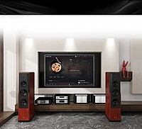 Tonewinner AD-1PA+ High Power Stereo Amplifier