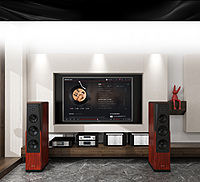 Tonewinner AD-1PA+ High Power Stereo Amplifier