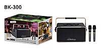 Oudiobop BK-300 Portable Wireless Karaoke Speaker with Dual Microphones