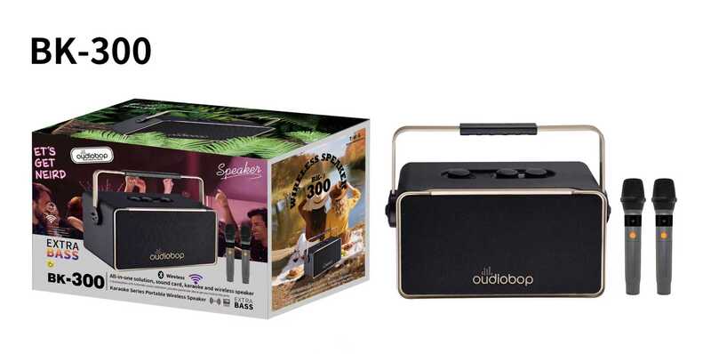 Oudiobop BK-300 Portable Wireless Karaoke Speaker with Dual Microphones