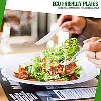 6" Plate Eco-Island 10/50