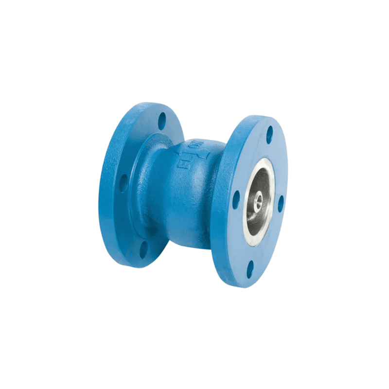 GLC® Cast Iron Body Check Valves