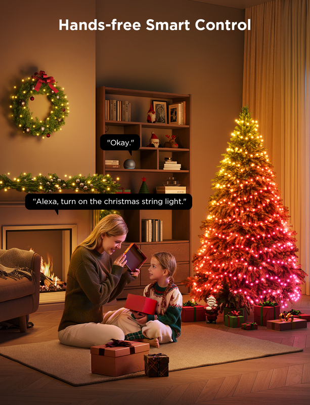 Govee String Lights 2S - 20M (Updated Packaging)
