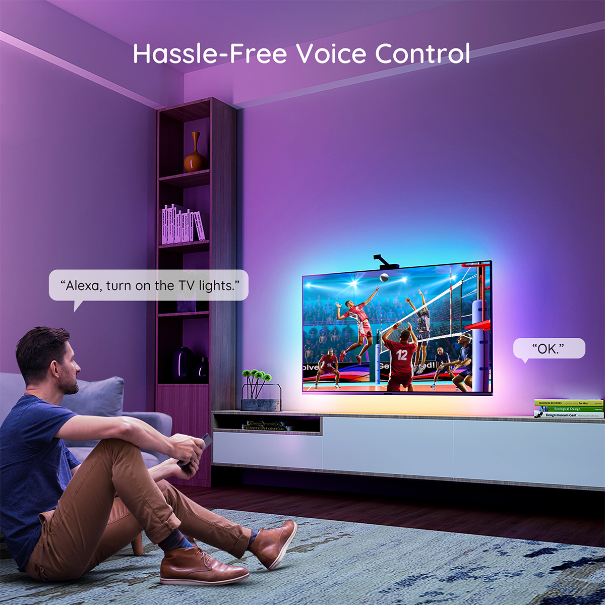 Govee DreamView T1 TV Backlight (55~65 inch)