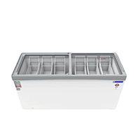 Interior View of Blue Star 590 Litre Deep Freezer with Ample Storage Space