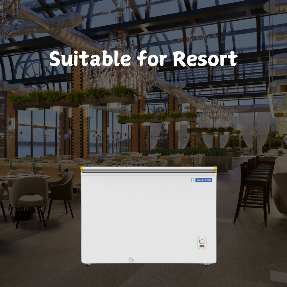 Suitable for Resort: Blue star Bottle Cooler 300 liter deep freezer-CHBK300MP