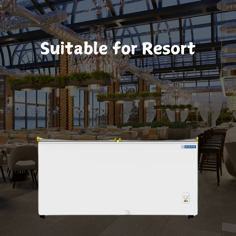 Suitable for Resort: Blue star Bottle Cooler 500 litre deep freezer-CHBK500MP Suitable for Resort: Blue star Bottle Cooler 500 litre deep freezer-CHBK500MP