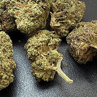 Strawpico Greenhouse Exotic Living Soil