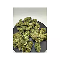 Blue Dream Greenhouse Exotic Living Soil