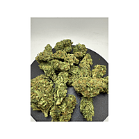 Blue Dream Greenhouse Exotic Living Soil