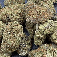 Sour Zkittlez Greenhouse Select