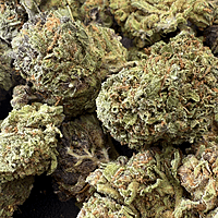 Dos Si Dos Greenhouse Select