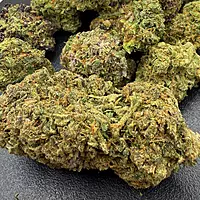 Cherry Pie Greenhouse Exotic