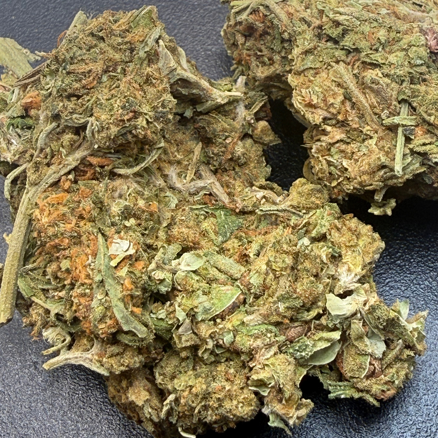 Northern Lights Exterior Regular