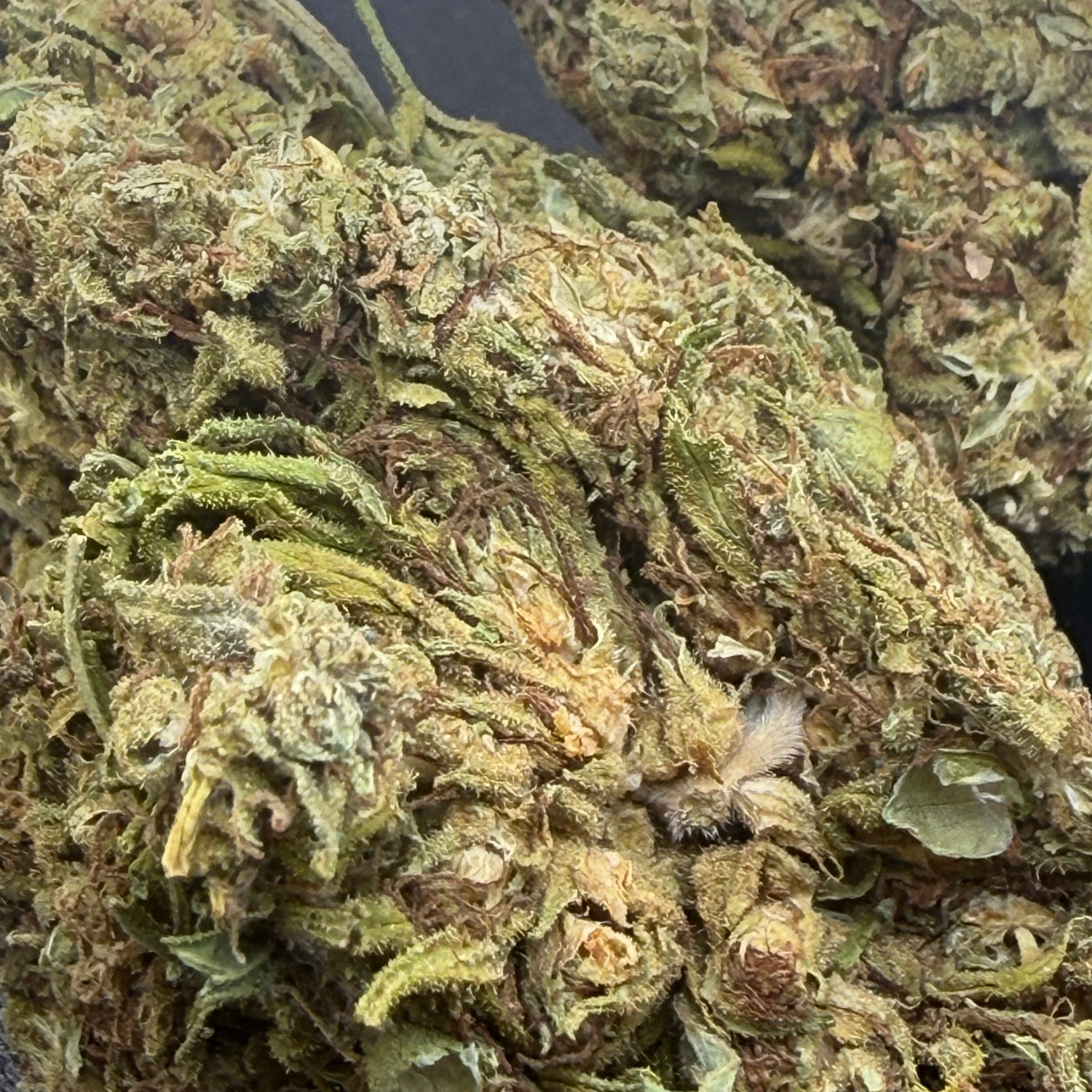 Pineapple Express flor exterior regular