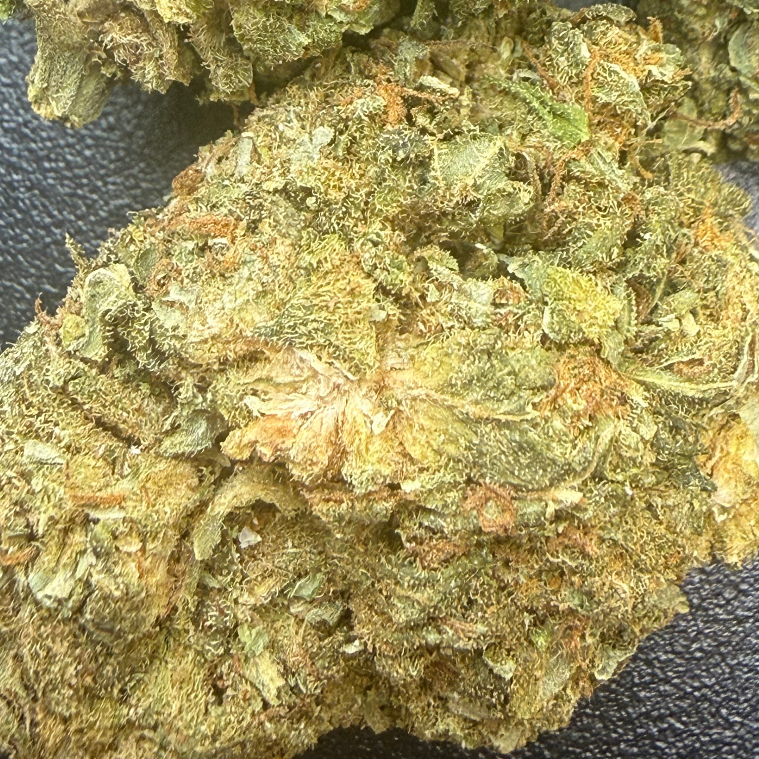 Kosher Kush Exterior Regular