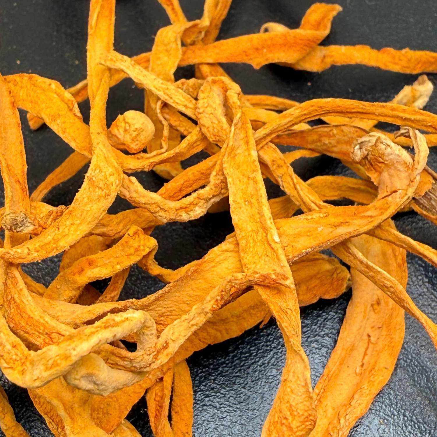 Hongo Cordyceps Deshidratado
